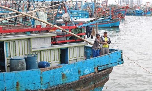 Giá xăng dầu giảm đã giúp ngư dân tiết kiệm chi phí đánh bắt xa bờ. Ảnh: TTXVN