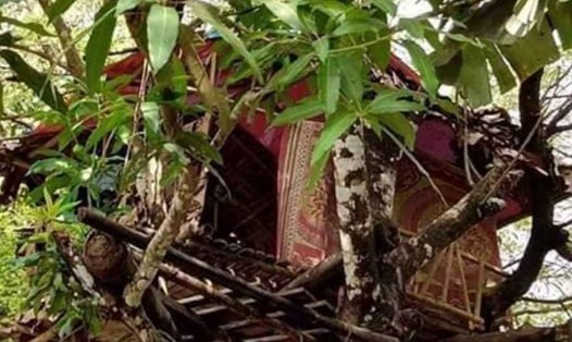 Người đàn ông Myanmar đang tự cách ly 14 ngày trong ngôi nhà trên cây để chứng mình anh ta không mang bệnh dịch COVID-19 sau khi trở về từ Thái Lan. Ảnh: BangkokPost/Assawin Pinitwong