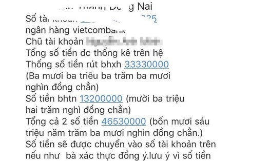 Đối tượng giả mạo cơ quan Bảo hiểm xã hội nhắn tin cho người lao động nhằm trục lợi. Ảnh: L.T