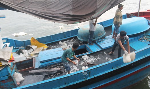 Các tàu cá từ 15m trở lên thuộc nhóm tàu câu cá ngừ đại dương và nghề lưới kéo đều phải lắp đặt thiết bị giám sát hành trình. Ảnh: Ngư dân cảng cá Hòn Rớ, Nha Trang đưa cá lên bờ.