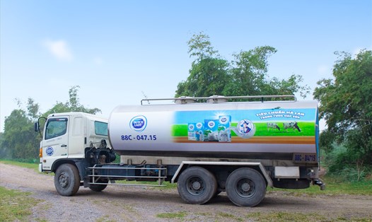 Từng chuyến xe bồn chở sữa nguyên liệu về nhà máy để sản xuất ra sản phẩm sữa Cô Gái Hà Lan an toàn và tươi ngon