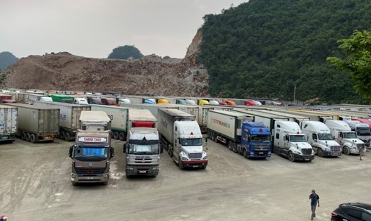 Hàng nghìn xe nông sản đang nằm ở bãi chờ đến lượt xuất khẩu. Ảnh CTV Như Nguyệt.