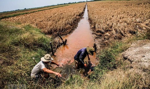 Chính phủ chi 530 tỉ đồng hỗ trợ cho 8 tỉnh đồng bằng sông Cửu Long để phòng, chống hạn hán, xâm nhập mặn. Ảnh: PCTT