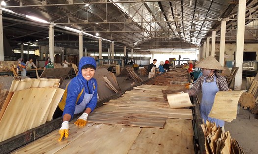 Người lao động tại một doanh nghiệp tại huyện Trấn Yên (tỉnh Yên Bái). Ảnh: Thanh Hùng