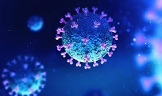 Nghiên cứu cho thấy COVID-19 có thể tấn công hệ miễn dịch. Ảnh: Shutterstock