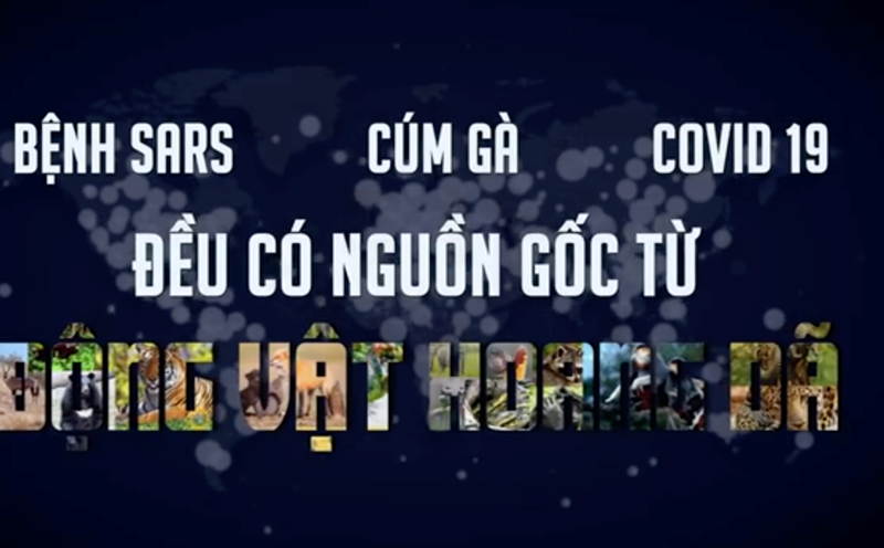 Dịch bệnh COVID-19 được chỉ ra rằng có nguồn gốc từ động vật hoang dã. Ảnh: Thuỳ