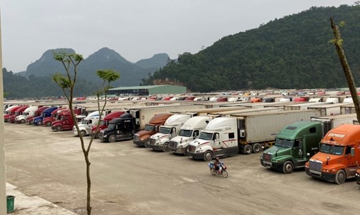 Số lượng xe hàng ùn ứ tại cửa khẩu Tân Thanh. Ảnh CTV Như Nguyệt.