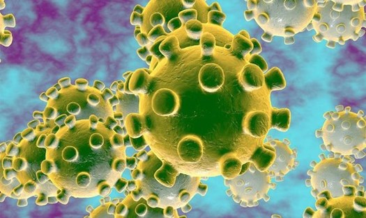 Virus SARS-CoV-2. Ảnh: Shutterstock