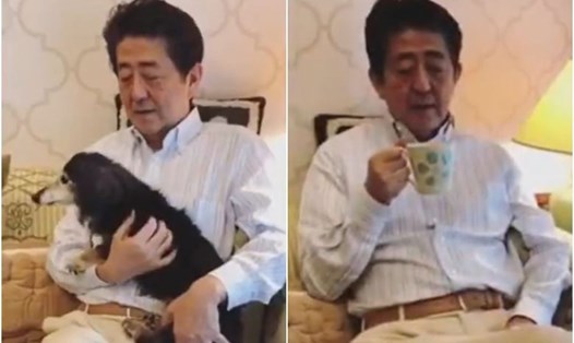 Thủ tướng Nhật Bản Abe Shinzo uống trà, chơi với chú chó nhỏ trong video trên Twitter. Ảnh chụp màn hình Twitter Thủ tướng Abe