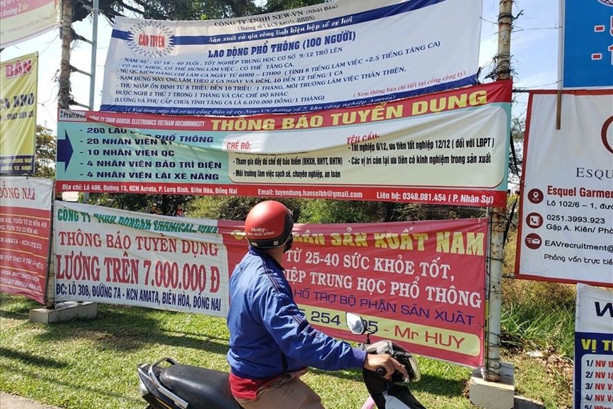 Công ty có được thu lệ phí tuyển dụng lao động không?