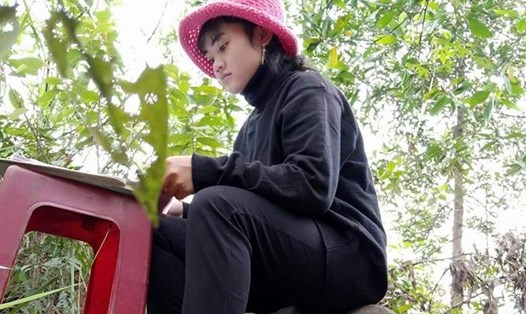 Nữ sinh Hồ Thị Đam học trực tuyến giữa rừng. Ảnh: NVCC.