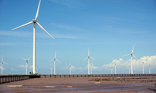 Dự án điện gió ở tỉnh Bạc Liêu. Ảnh: Nhật Hồ