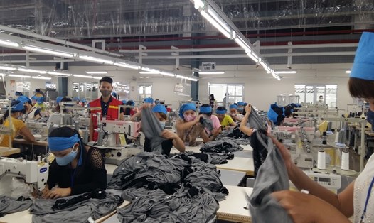 Đa số DN đông công nhân trên địa bàn Thanh Hoá hoạt động trong lĩnh vực may mặc. Ảnh: X.H