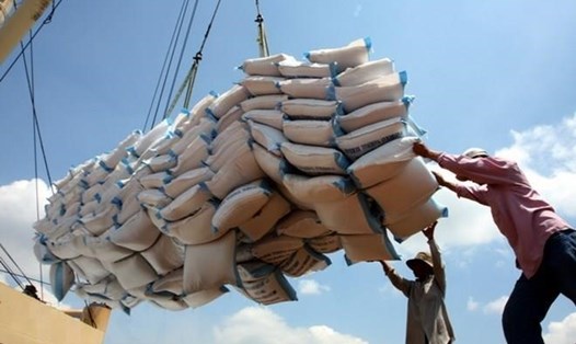 Thủ tướng yêu cầu thanh tra việc chấp hành quy định về xuất khẩu gạo. Ảnh TTXVN