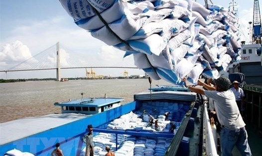 Xuất khẩu gạo tại Đồng bằng sông Cửu Long. Ảnh: TTXVN