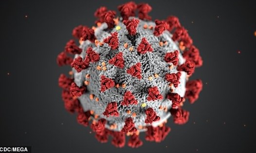 Các chủng đột biến hung hăng nhất có thể có tải lượng virus cao gấp 270 lần so với loại yếu nhất. Ảnh: CDC.