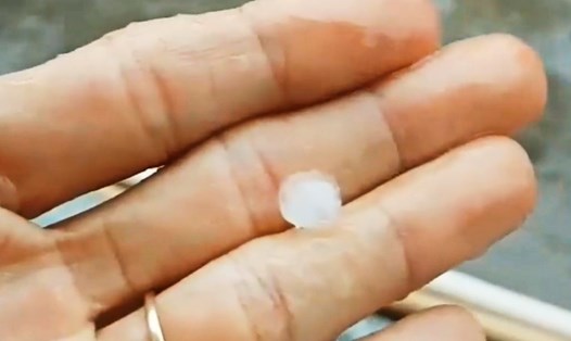 Hạt đá to bằng đầu đũa xuất hiện trong cơn mưa chiều ngày 25.4 ở quận 12 (TPHCM).  Ảnh cắt từ clip của người dân.