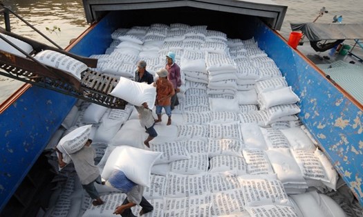 Bộ Công Thương đề xuất xuất khẩu gạo bình thường từ tháng 5. Ảnh: Bộ CT