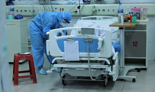 Nhân viên y tế chăm sóc bệnh nhân tại Bệnh viện Bệnh nhiệt đới Trung ương. Ảnh: Trịnh Thu