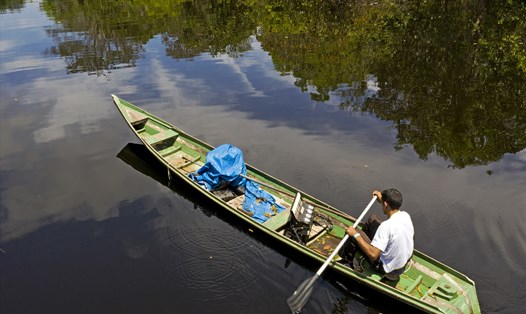 Một người đàn ông chèo thuyền trên sông Jurua, Carauari, bang Amazonas, Brazil và chơi đàn để truyền tải thông điệp chống phá rừng và biến đổi khí hậu. Ảnh: AFP