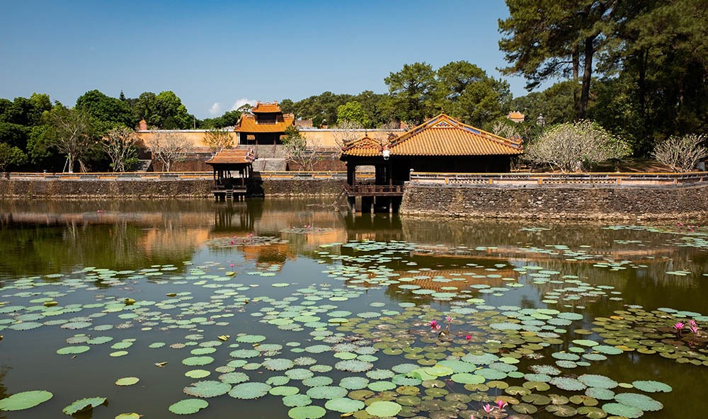 Hoa trong hồ Lưu Khiêm- Lăng vua Tự Đức. Ảnh: JUNE TRỊNH