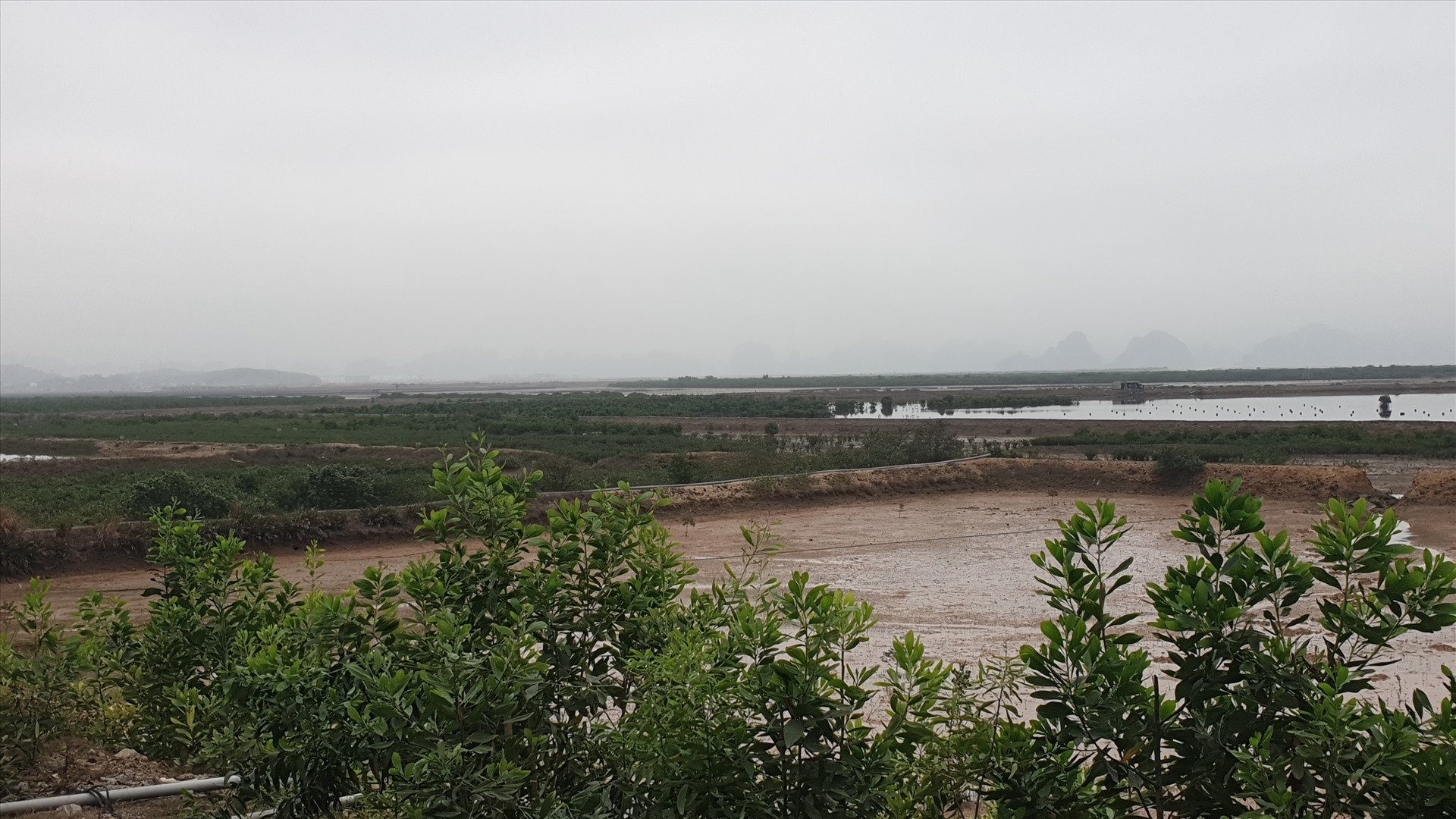 Khu nuôi trồng thủy sản ở phường Đại Yên, TP.Hạ Long nằm trong dự án Khu phức hợp Hạ Long Xanh 10 tỉ USD. Ảnh: Nguyễn Hùng