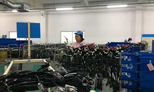 Công nhân lao động làm việc tại một khu công nghiệp - chế xuất Hà Nội. Ảnh: L.Nguyên