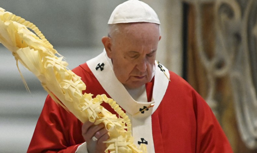 Giáo hoàng Francis đang cầm cây cọ trong ngày Chúa nhật Lễ Lá sau khi Vương cung thánh đường đóng cửa do lệnh phong tỏa vì COVID-19 ở Vatican. Ảnh: AP