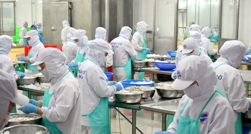 Công nhân đang  làm việc tại Tập đoàn thủy sản Minh Phú, Cà Mau. Ảnh: Nguyễn Phú
