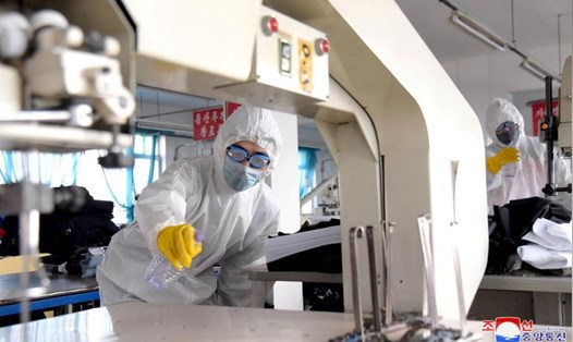 Tình nguyện viên thực hiện công việc khử trùng trong chiến dịch chống virus tại Bình Nhưỡng, Triều Tiên, ảnh phát hành ngày 4.3. Ảnh: Reuters