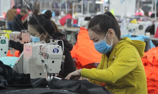 Công nhân đang làm việc tại nhà máy ở Khu công nghiệp Phú Tài (tỉnh Bình Định). Ảnh: N.T
