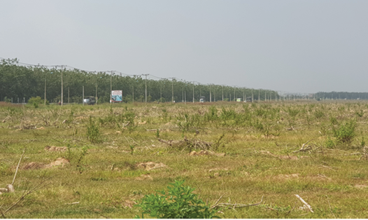 Khu đất triển khai dự án tái định cư Lộc An - Bình Sơn. Ảnh: HÀ ANH CHIẾN
