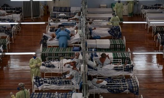 Các bệnh nhân mắc COVID-19 đang được điều trị trong các bệnh viện dã chiến ở Brazil. Ảnh: AFP