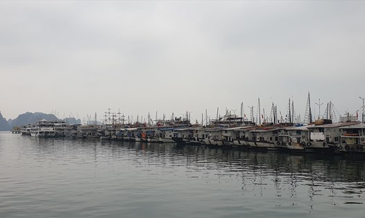 Lượng khách trở lại vịnh Hạ Long tăng dần, nhưng nhiều tàu du lịch vẫn "nằm bờ" vì ít khách. Ảnh: Nguyễn Hùng