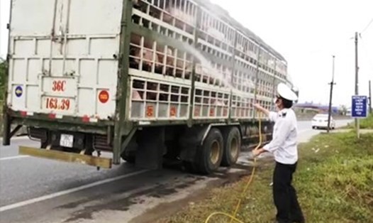 Cơ quan chức năng tỉnh Quảng Trị phun khử khuẩn xe vận chuyển lợn để phòng dịch tả lợn Châu Phi. Ảnh: MD.