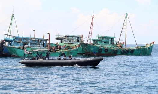 Tàu cá của Việt Nam ở vùng biển của Indonesia. Ảnh: AFP.