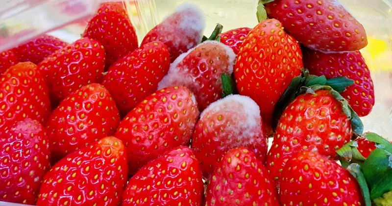 Bỏ sớm 3 thói quen nuôi dưỡng tế bào ung thư