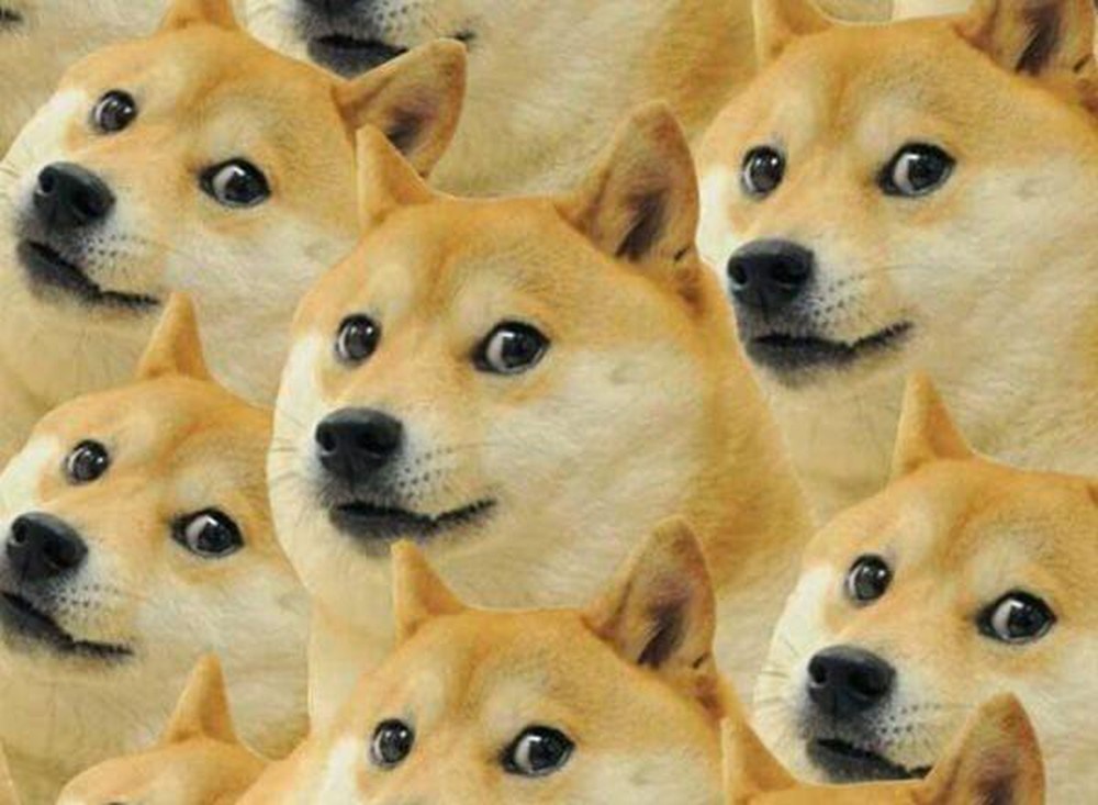 Tổng hợp 29 meme chú chó shiba Cheems hài hước  Ngôi Sao Gia Định