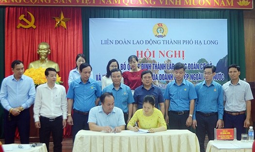 Lãnh đạo LĐLĐ tỉnh Quảng Ninh và TP Hạ Long chứng kiến ký kết TƯLĐTT. Ảnh: Dương Trường