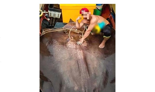 Bức ảnh tạo dáng với con cá đuối khổng lồ bị xẻ thịt ở Malaysia gây phẫn nộ. Ảnh: The Star