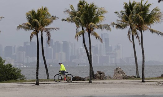 Một người đi xe đạp chạy dọc vịnh Biscayne ở Miami. Ảnh: AP.