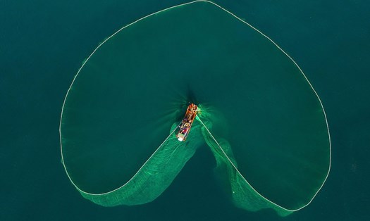 Tạo hình trái tim trên nền đại dương của tấm lưới đánh cá. Ảnh: Daily Mail.