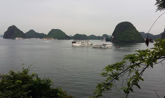 Do bất ngờ đón khách trở lại nên lượng khách đến vịnh Hạ Long trong gần 2 ngày qua là rất ít. Ảnh : Nguyễn Hùng