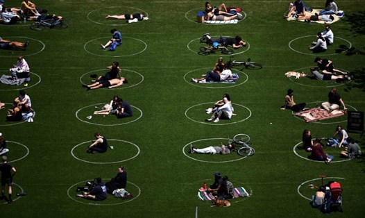Mọi người đến công viên Domino ở New York đều phải ngồi trong vòng tròn, giống như phép biến hóa Bố trận của Tôn Ngộ Không. Ảnh: AFP