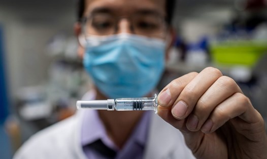 Một loại vaccine COVID-19 đang được thử nghiệm tại phòng thí nghiệm kiểm soát chất lượng, cơ sở công nghệ sinh học Sinovac ở Bắc Kinh, Trung Quốc hôm 29.4. Ảnh: AFP.