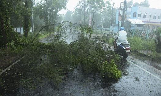 Cây cối đổ ngôn ngang ở bang Tây Bengal, Ấn Độ khi bão Amphan đổ bộ hôm 20.5. Ảnh: AFP