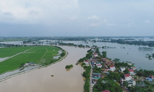 Đê tả sông Bùi là một trong những đê xung yếu của Hà Nội cần được quan tâm để chống chịu với quy trình xả lũ liên hồ chứa khi mùa mưa bão đến. Ảnh: Ngọc Hà
