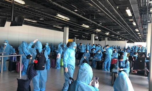 Công dân Việt Nam làm thủ tục ở sân bay Hà Lan. Ảnh: Bộ Ngoại giao