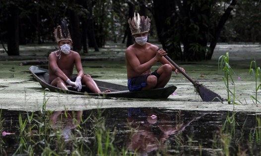 Những thanh niên bản địa Satere-mawe chèo thuyền trên sông Ariau tại khu vực cộng đồng Sahu-Ape, cách thành phố Manaus 80 km, ngày 5.5. Ảnh: AFP