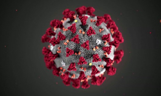 Hình ảnh mô phỏng virus SARS-CoV-2. Ảnh: CDC.